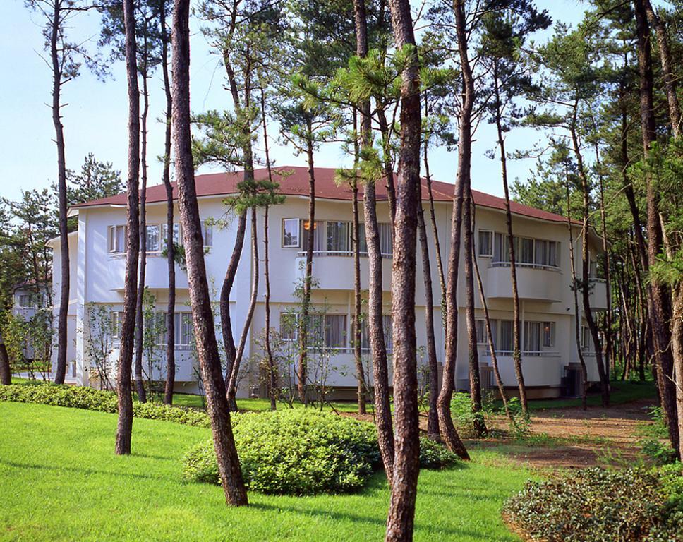 Cottage Himuka Miyazaki Quarto foto